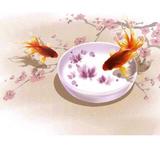 用户1716031543537头像