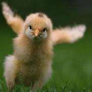 宫晓的个人资料头像