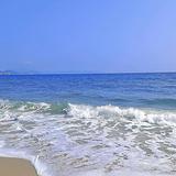 深圳流浪仔头像