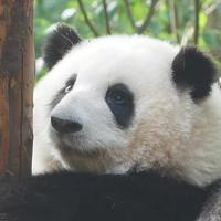 显白单品517头像