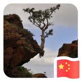 A-桥浮之梦头像