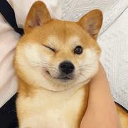 生生不息673的个人资料头像