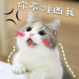 远归685头像