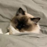 晓梁的个人资料头像