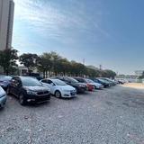 上进蓝天9u1头像