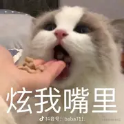 玉锵的个人资料头像