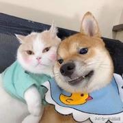 寻_的个人资料头像