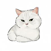 Luminance的个人资料头像