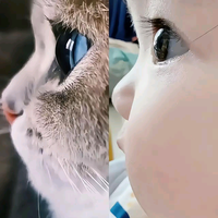 ygt梦想成真头像