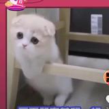 ꧁༺๑窮๑༻꧂头像