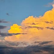 unicornn的个人资料头像