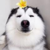 十一69405头像