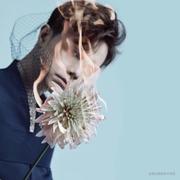 一叶清风的个人资料头像