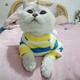Mrhangzhi头像