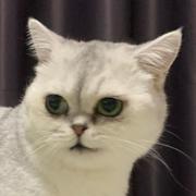 星宇778的个人资料头像