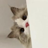 生成阳光的向日葵头像