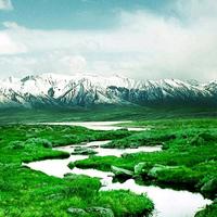 始终不渝4B4J头像