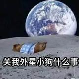 沉着面条aCC头像