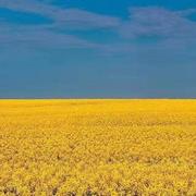 谷生地的个人资料头像