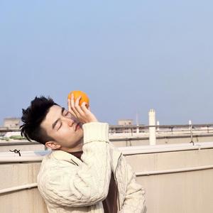 洒脱柳叶p8N头像