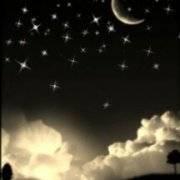 沙漠露珠绿洲的个人资料头像