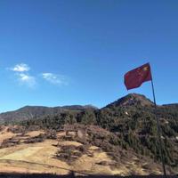 快乐的雪梨WkT头像