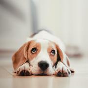 强强兄的个人资料头像