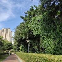 左边的蜗牛头像