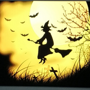 宁沉沦的个人资料头像