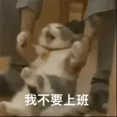 森熊的个人资料头像