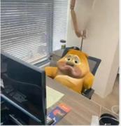冷面没有面的个人资料头像