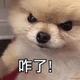 用户4965938266024头像