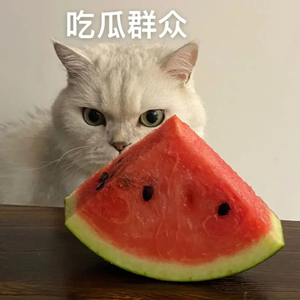 薛定谔的吃瓜猹头像