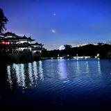 不知名西兰花m头像