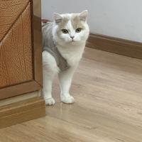 我咋被撞了头像