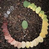 咱百姓二手车头像