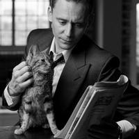 TomHiddleston895头像