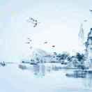 alex不想说话62550的个人资料头像