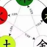 妙妙先生头像