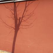 丹舟的个人资料头像