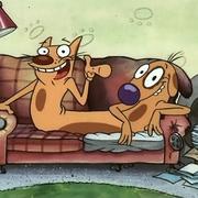 XiaoJia的个人资料头像