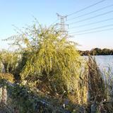 王强997头像