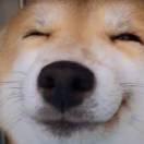 bo同志的个人资料头像