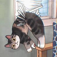 用户8568773818352头像