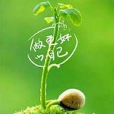 潇洒走一回22676头像