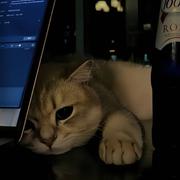 远方115的个人资料头像