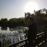 风中的沙386头像