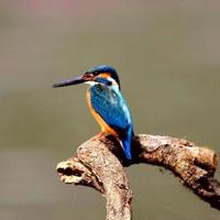 乡村车科技头像