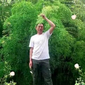 利辛常乐，头像
