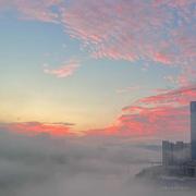 南游的个人资料头像